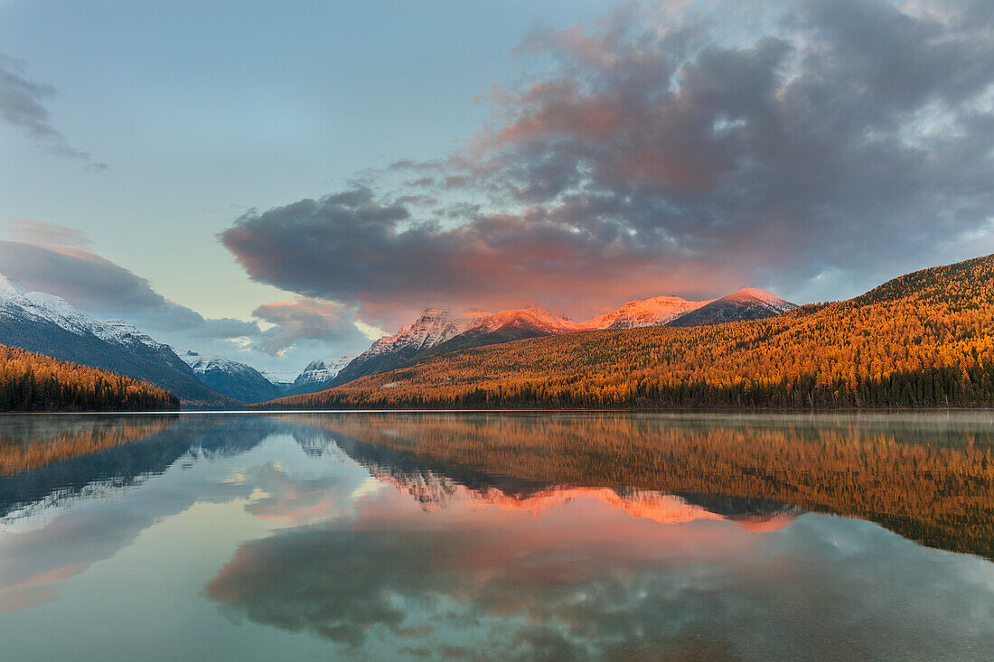 Mountain peaks reflect into Bowman Lake in autumn in Glacier National Park, Montana, USA