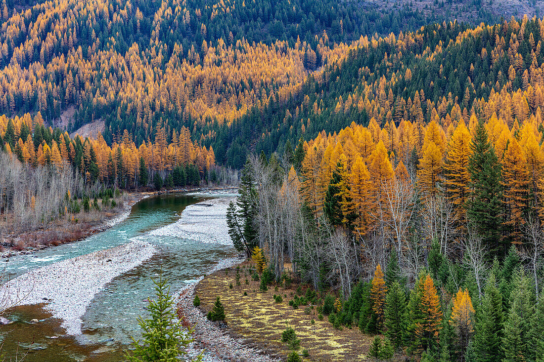 Middle Fork des Flathead River im Herbst im Glacier National Park, Montana, USA