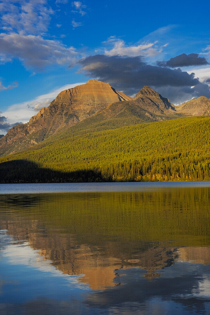 Rainbow Peak spiegelt sich im Bowman Lake im Glacier National Park, Montana, USA