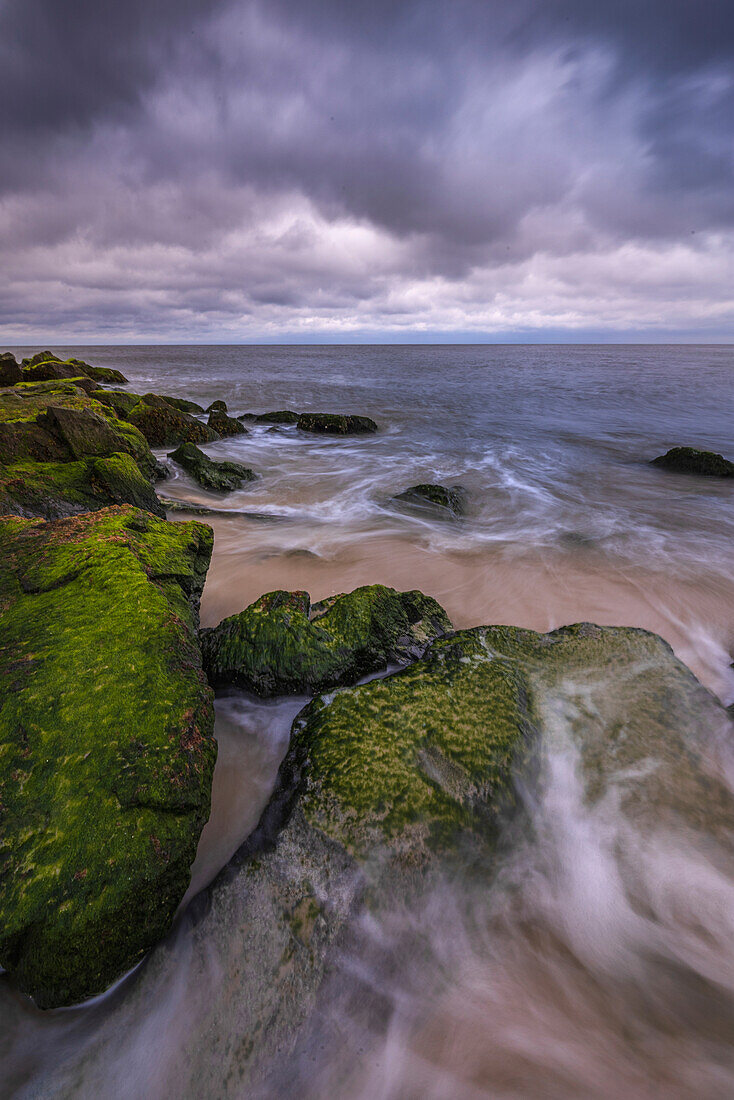 USA, New Jersey, Cape May National Seashore. Storm waves and moss-covered rocks.