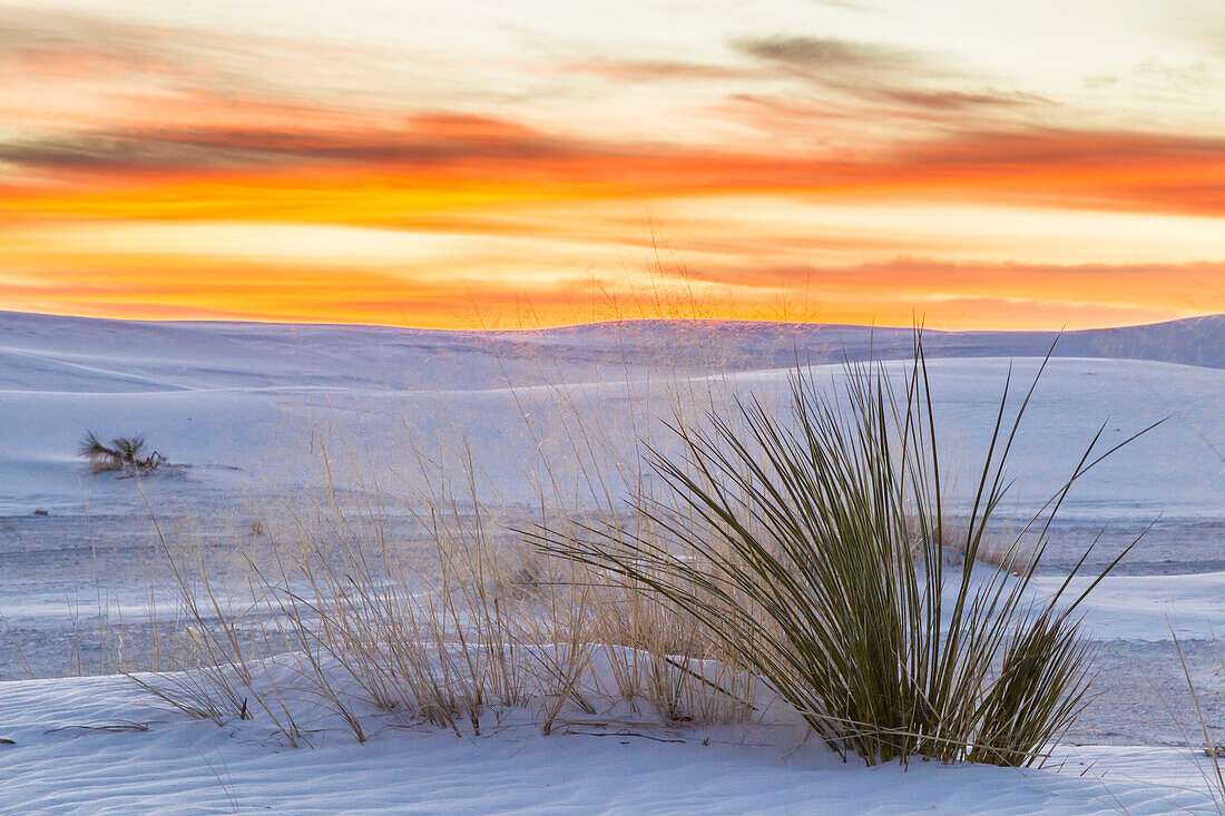 USA, New Mexico, White-Sands-Nationalpark. Sanddünen und Yucca-Pflanze bei Sonnenaufgang