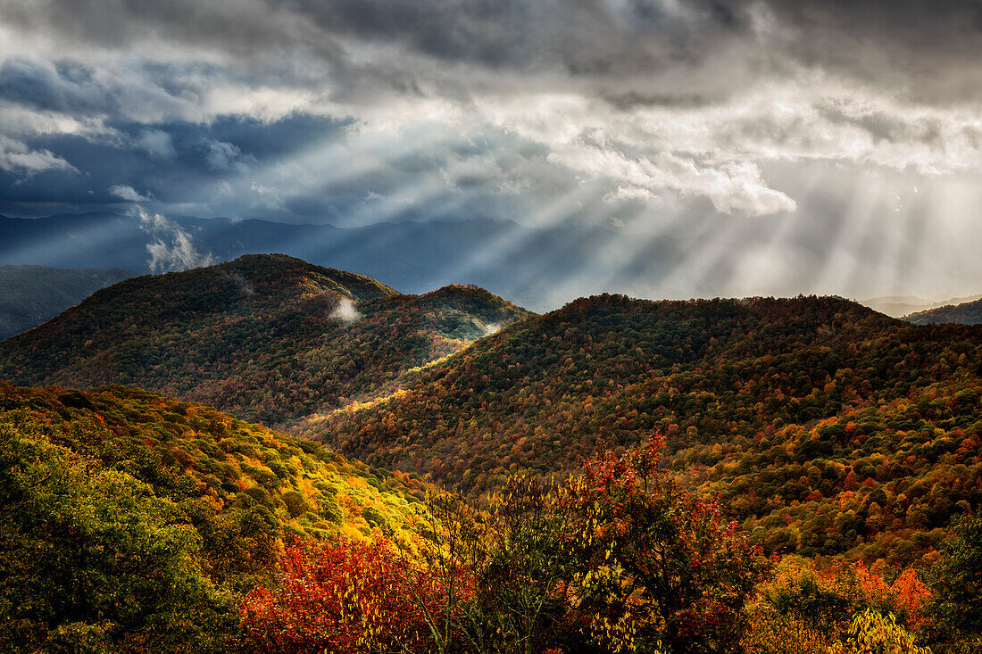 USA, North Carolina, Blue Ridge Parkway, Autumn color from Bunches Bald Overlook