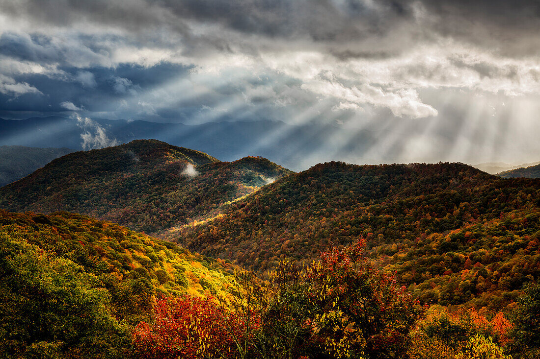 USA, North Carolina, Blue Ridge Parkway, Herbstfarbe von Bunches Bald Overlook