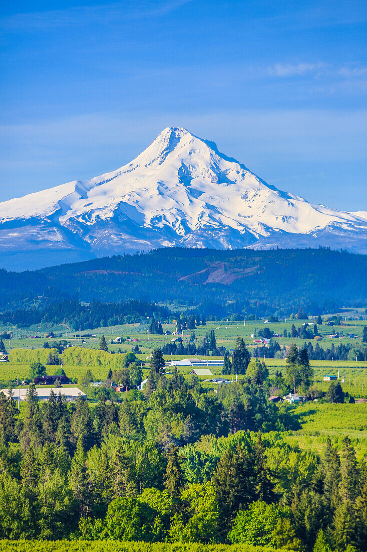 Hood River, Oregon. Snow covered Mount Hood, foothills, valley, farmland with orchards