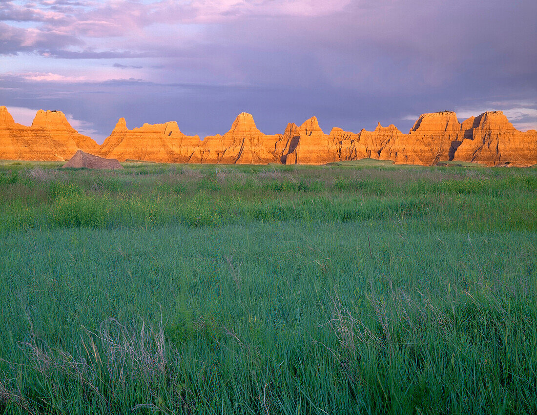 USA, South Dakota, Badlands National Park, Sunrise light on eroded pinnacles above spring green prairie grasses, near Castle Trail, North Unit.