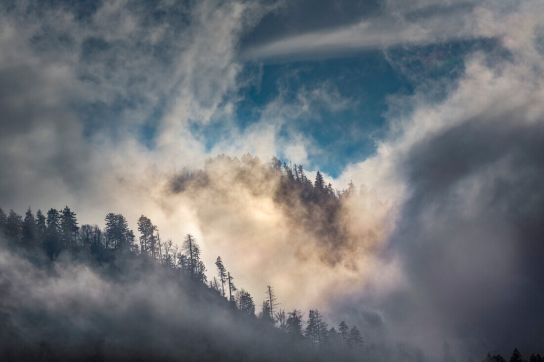 Nebel und Sonnenlicht in den Bergen, Great Smoky Mountain National Park, Tennessee