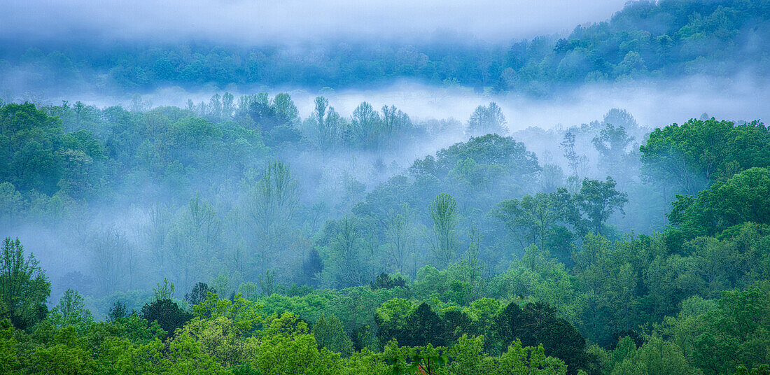 USA, Tennessee, Great Smoky Mountain National Park