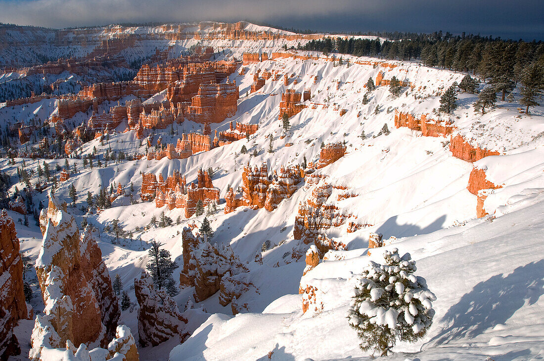 USA, Utah, Bryce-Canyon-Nationalpark. Wintersonnenaufgang auf schneebedeckter Landschaft.