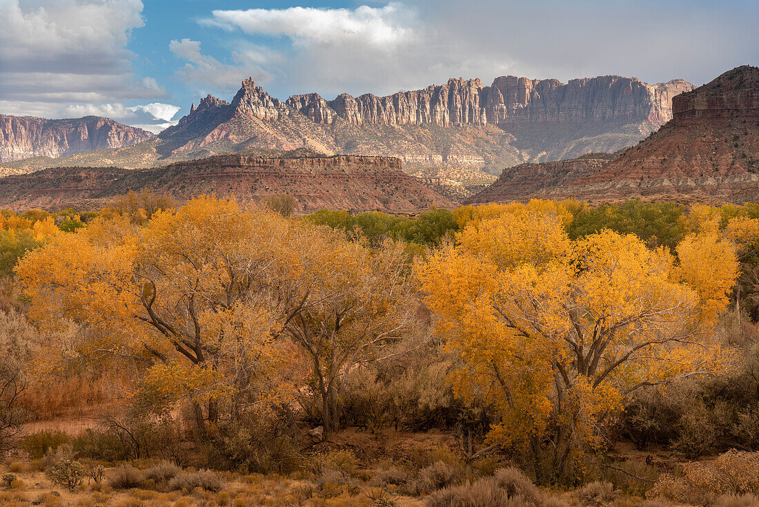USA, Utah, Smithsonian Butte. Mountain landscape with cottonwood trees in autumn.