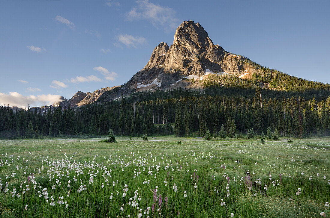 Liberty Bell Mountain seen from meadows of Washington Pass, North Cascades, Washington State