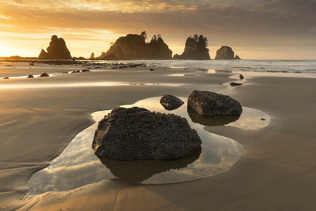 USA, Staat Washington, Olympic-Nationalpark. Sonnenaufgang am Küstenstrand und Felsen