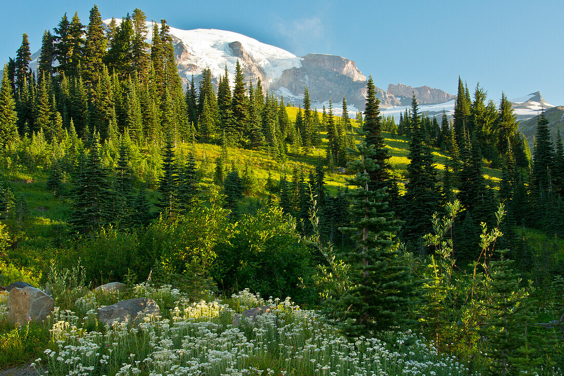 Mount Rainier, vom Paradies, Mount-Rainier-Nationalpark, Washington State, USA