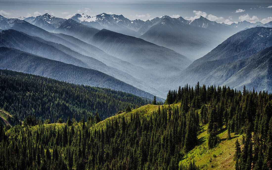 Olympic National Park, USA, Hurricane Ridge, Fog layers melt revealing the depth of the Olympic range.