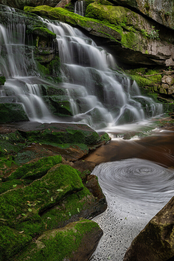 USA, West Virginia, Blackwater Falls State Park. Cascades and eddy in pool.