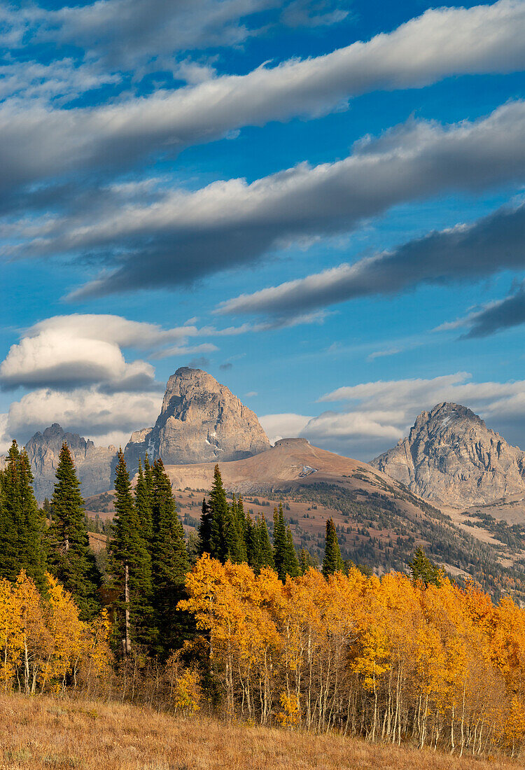 Streaky Cirrus und Cumulus-Wolken ergänzen Golden Aspens mit Grand und Middle Teton und Mount Owen, Teton Valley, Wyoming