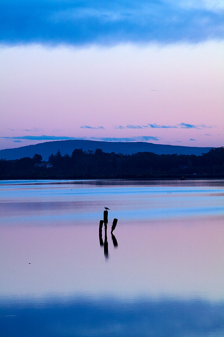 Spiegelungen im New River Estuary in der Abenddämmerung, Invercargill, Südland, Südinsel, Neuseeland