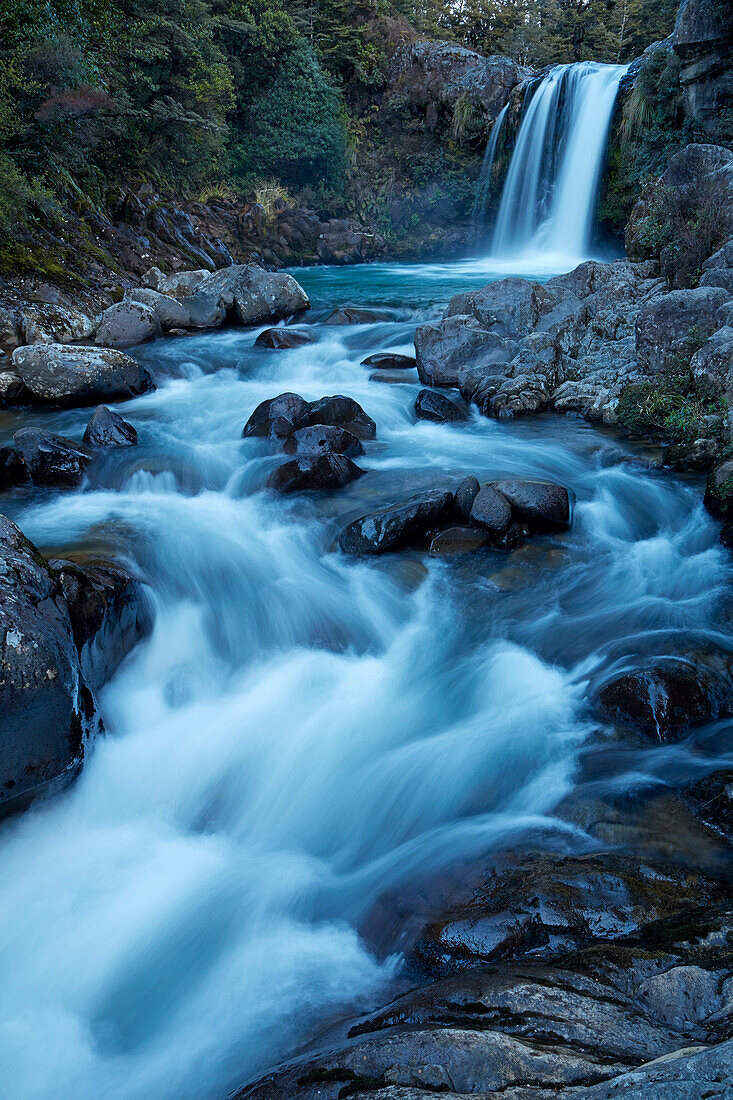 Tawhai Falls, Whakapapanui Stream, Tongariro National Park, Central Plateau, North Island, New Zealand