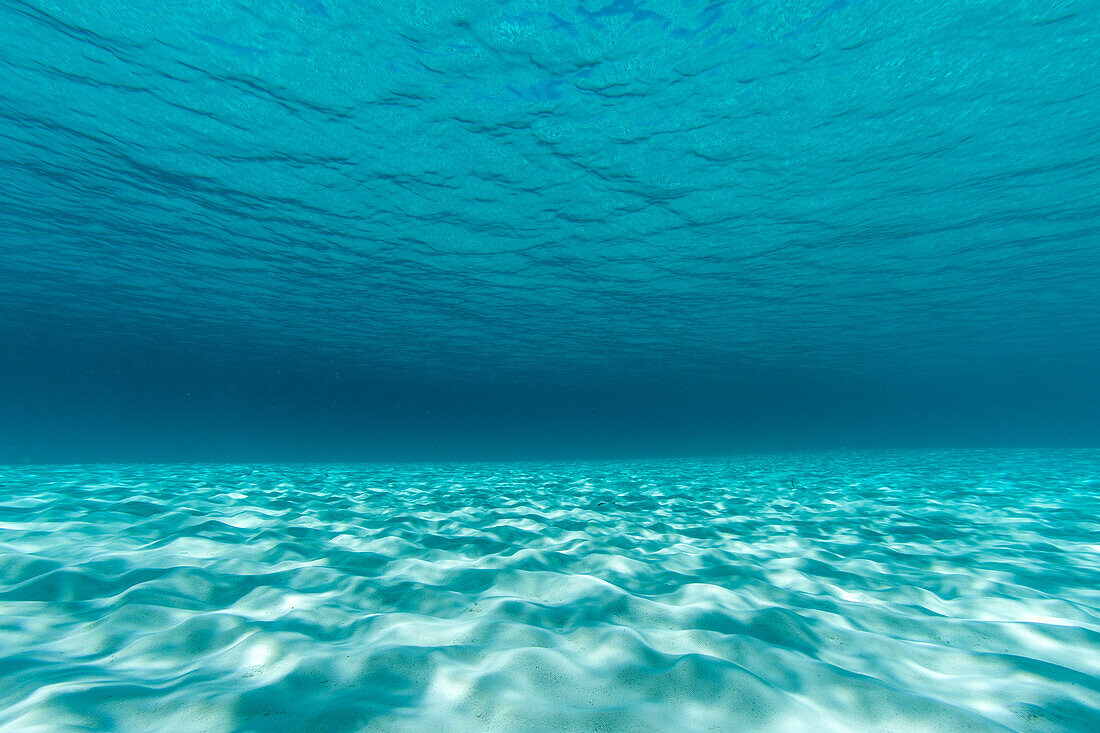 Unterwasseraufnahme einer strukturierten Sandbank im klaren blauen Wasser bei Staniel Cay, Exuma, Bahamas