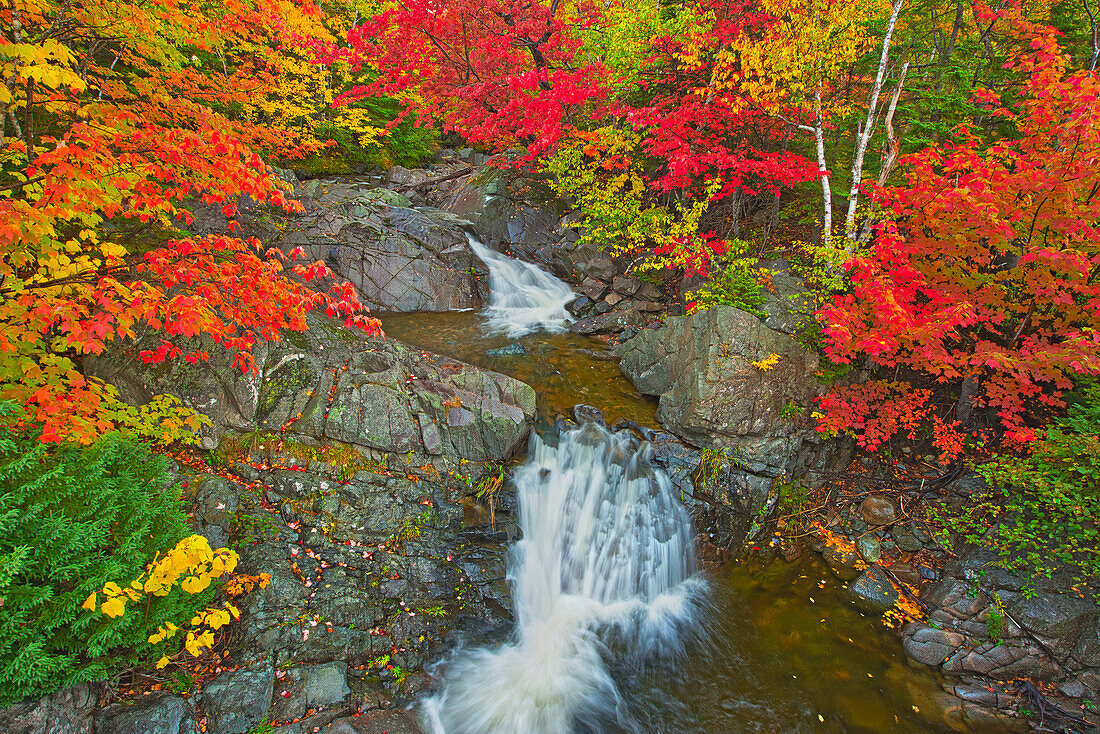 Kanada, Neuschottland, Kap-Breton-Insel. Morrison Brook und Wald im Herbstlaub.