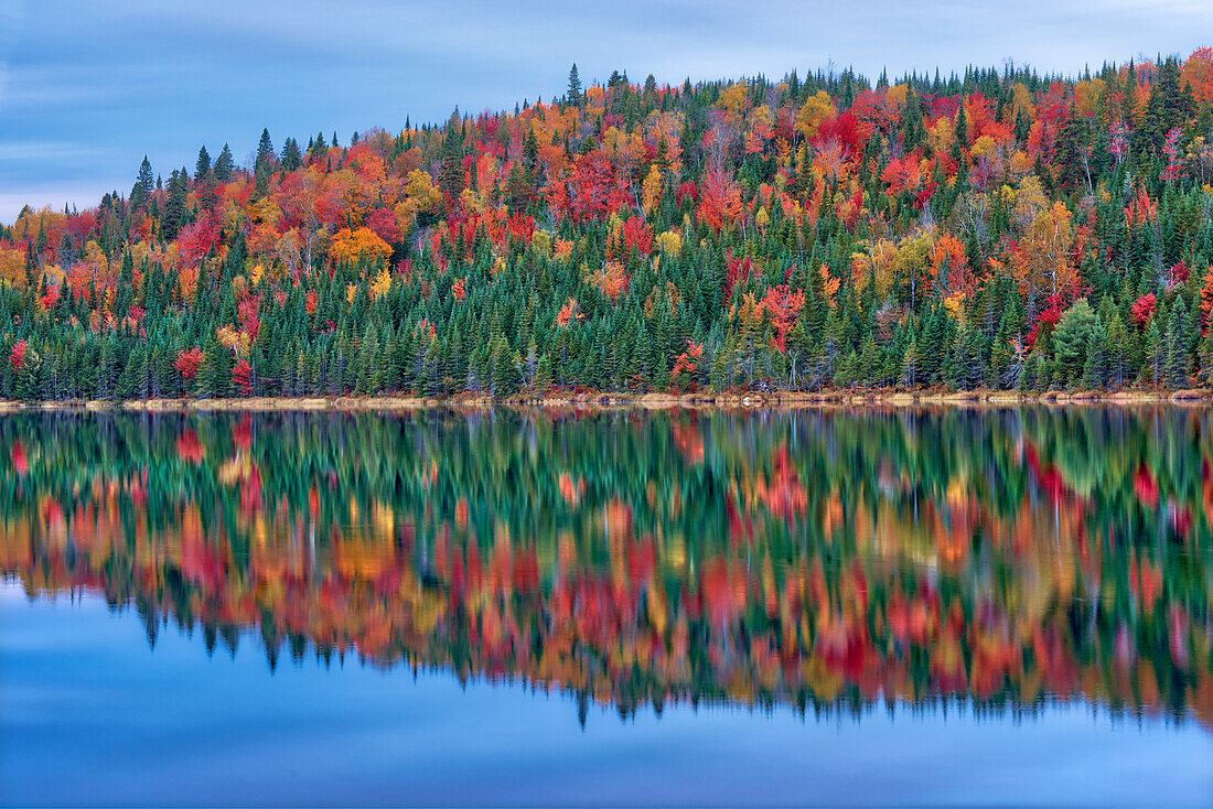 Canada, Quebec, La Mauricie National Park. Autumn colors reflected in Lac Modene.