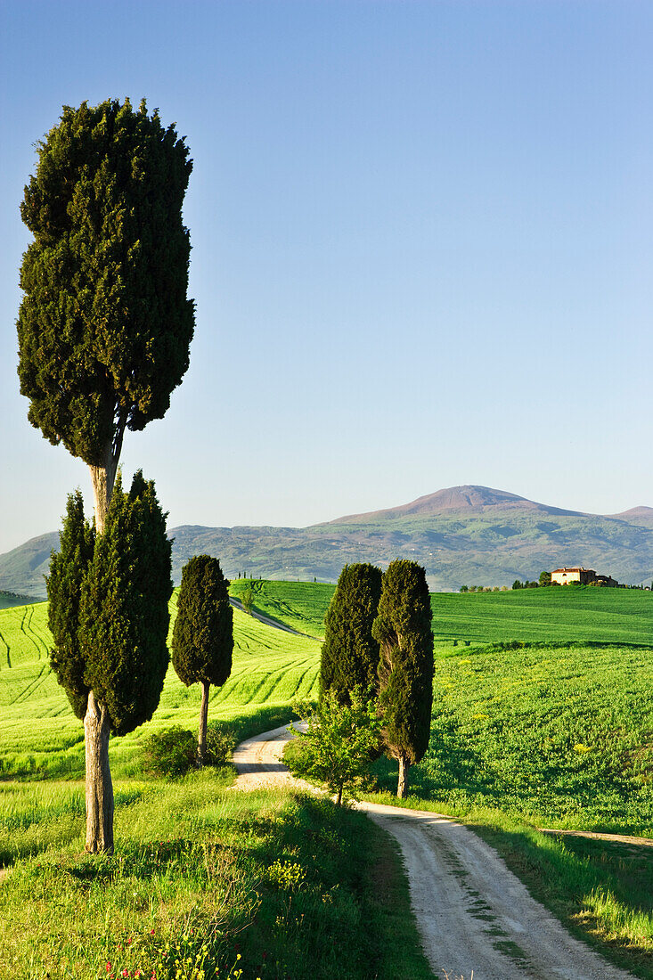 Europe, Italy, Tuscany. Landscape with villa.