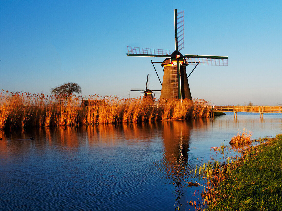 Europa; Niederlande; Kinderdijk; Abendlicht entlang des Kanals mit Windmühlen