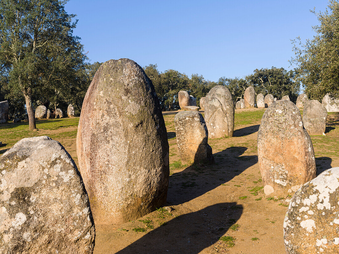 Almendres Cromlech (Cromeleque dos Almendres), ein ovaler Steinkreis aus dem späten Neolithikum oder der frühen Kupferzeit. Europa, Südeuropa, Portugal, März