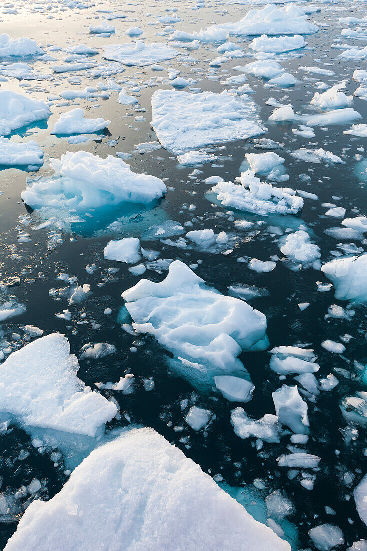 Greenland, Disko Bay, Ilulissat, floating ice at sunset