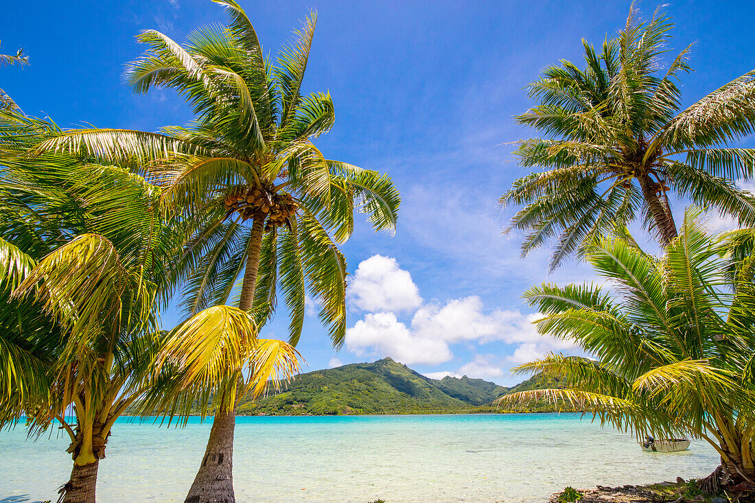 Schnorcheln und Mittagessen auf Motu Marimaora, Huahine, Französisch-Polynesien