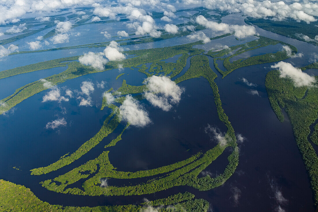 Aerial of Amazon River Basin, Manaus, Brazil