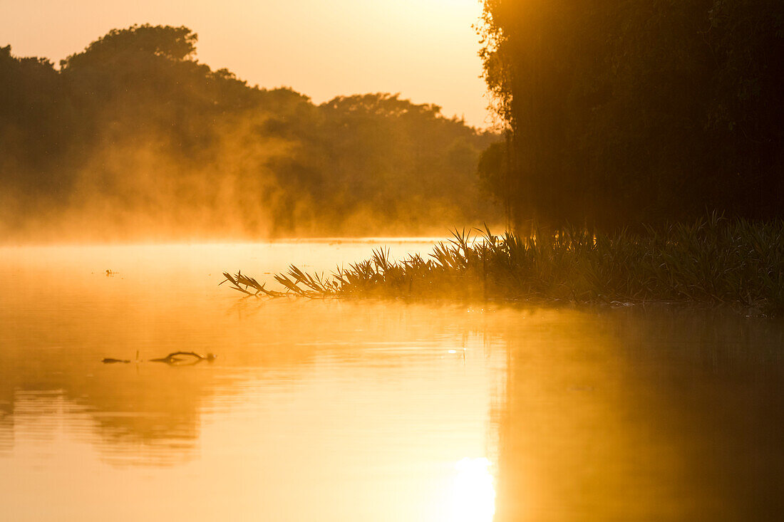 South America, Brazil, The Pantanal, Rio Cuiaba. The mist rises off the river in the early morning.