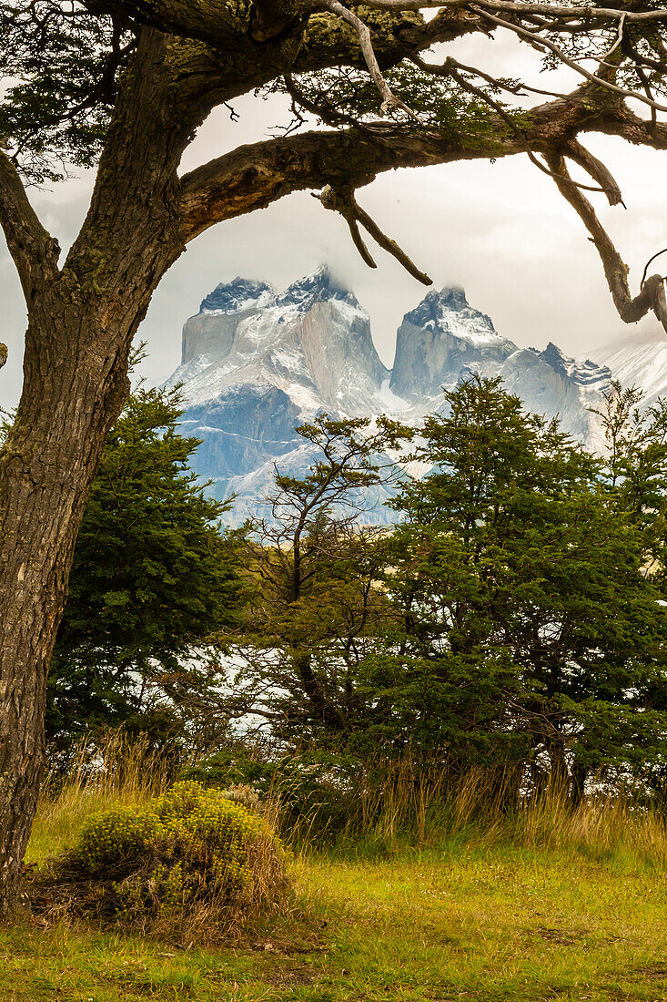 Südamerika, Chile, Patagonien. Der Pehoe-See und das Gebirge der Horns.