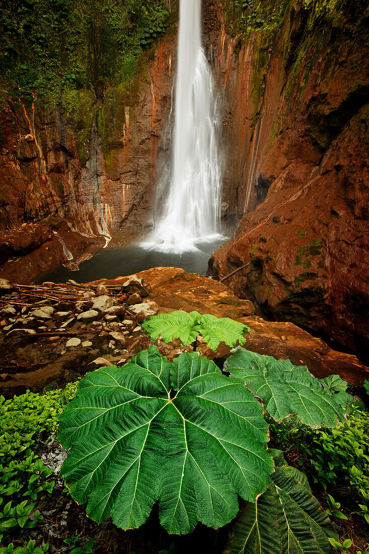 Catarata Del Toro Wasserfall, in den Bergen von Bajos del Toro Amarillo, Sarchi, Costa Rica
