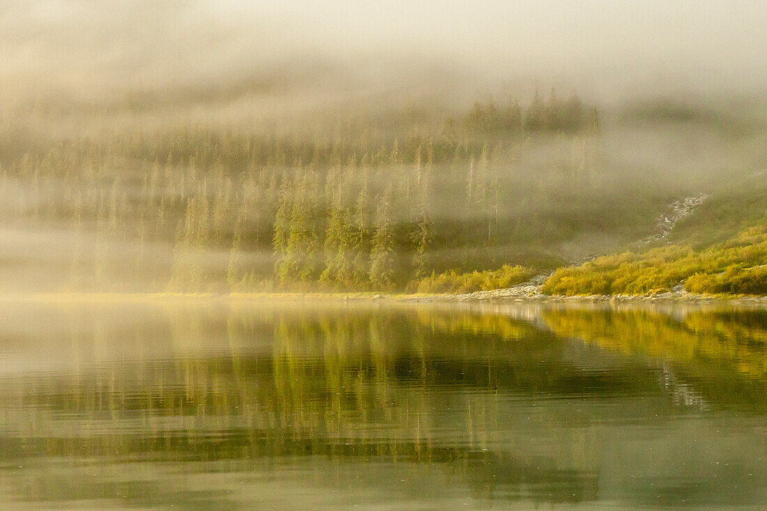 USA, Alaska, Tongass National Forest. Endicott Arm in fog.