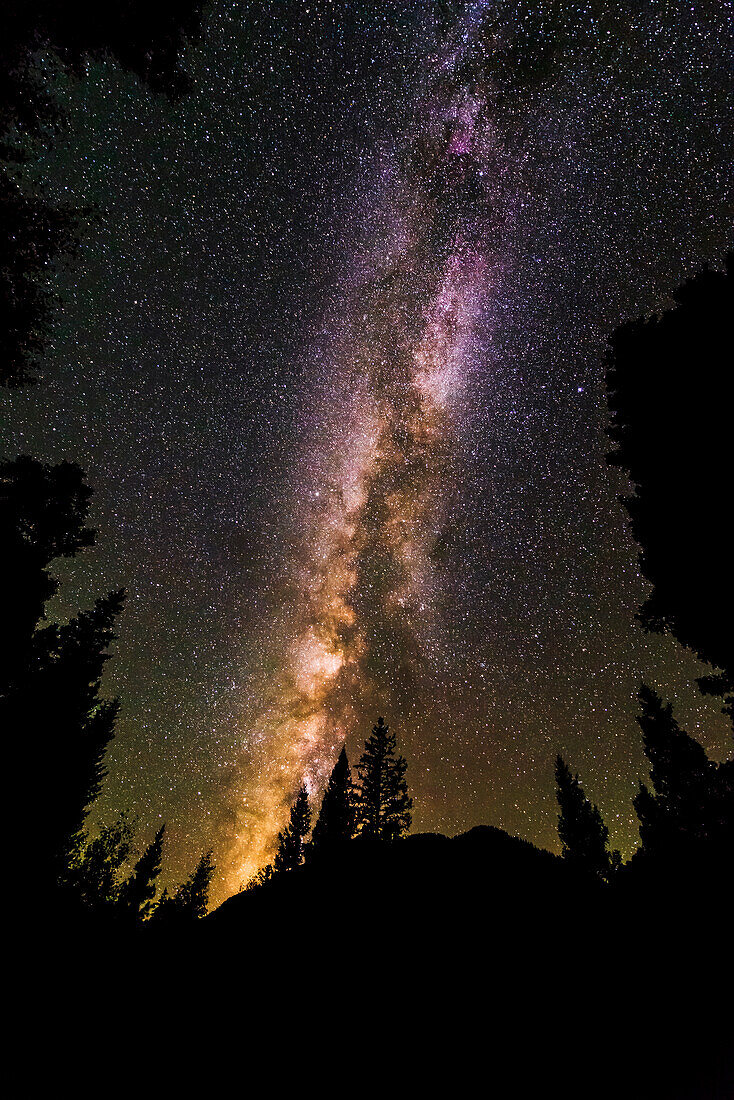 The Milky Way over Lizard Head Pass, Uncompahgre National Forest, Colorado, USA.