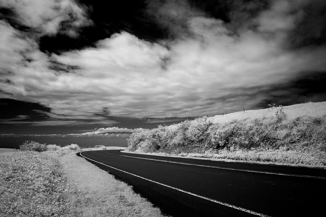 kohala mountain road, The Big Island, Hawaii, USA