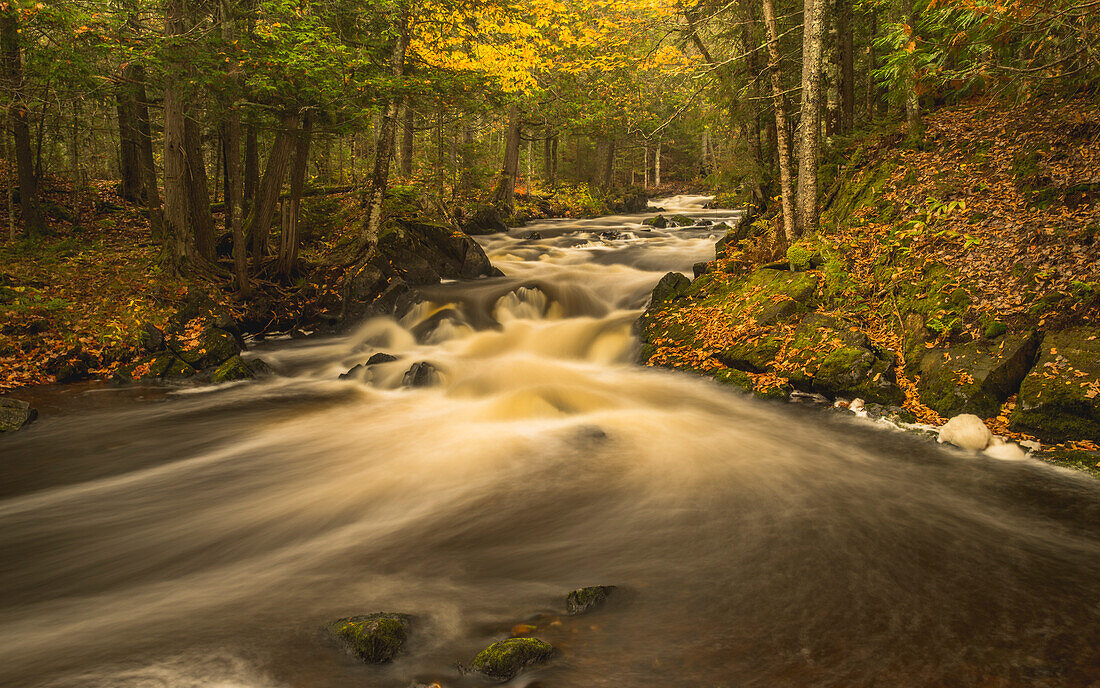 USA, Michigan, Herbstfarben, Strom