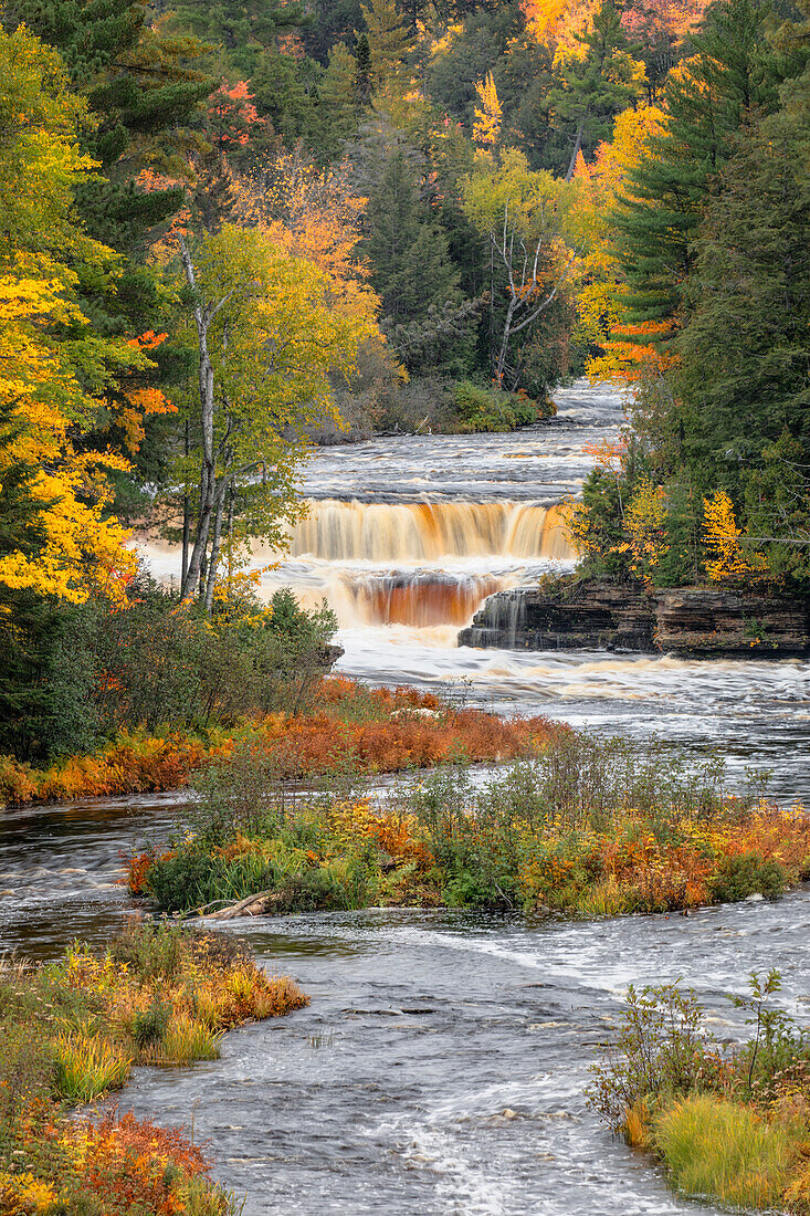 Lower Tahquamenon Falls, Tahquamenon River in autumn, Tahquamenon Falls State Park, Michigan