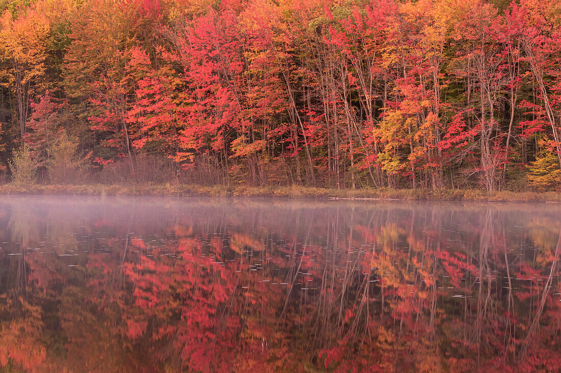 Michigan, Upper Peninsula, Hiawatha National Forest, Fall colors reflected in a lake.