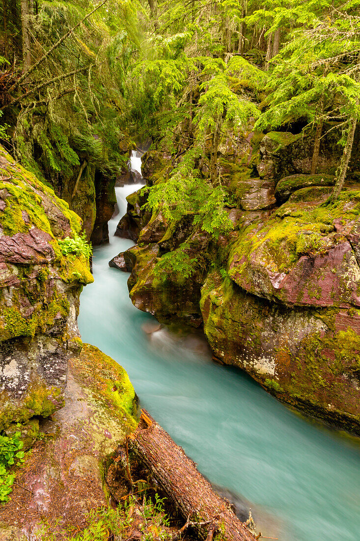 USA, Montana, Glacier National Park. Waterfall landscape.