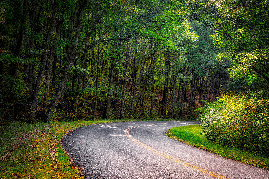 Roadway, Blue Ridge Parkway, Smoky Mountains, USA.