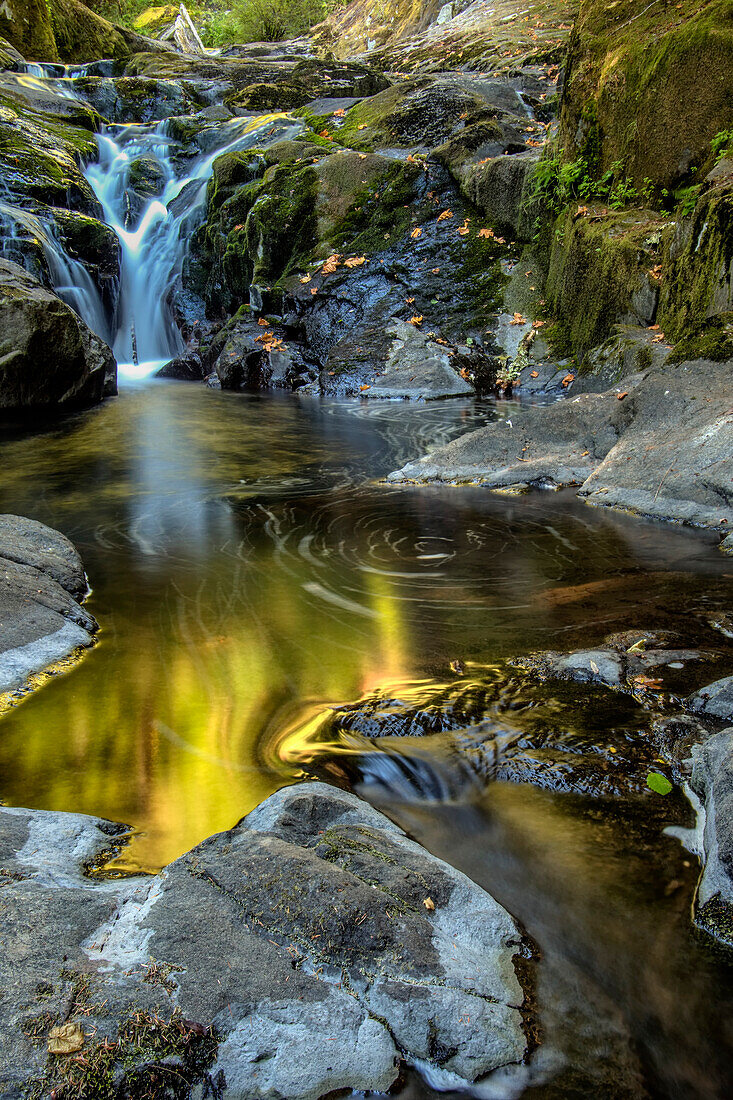 USA, Oregon, Florence. Waterfall in stream.