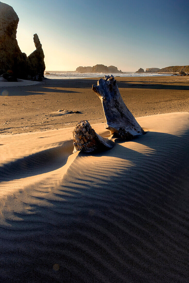 USA, Oregon, Bandon. Beach landscape.