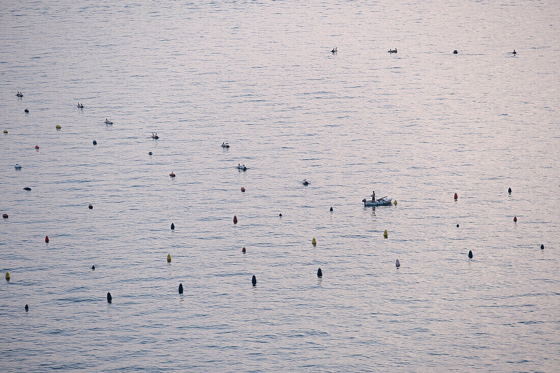 Fishermen in the Gulf of Trieste bay, Trieste, Friuli Venezia Giulia, Italy