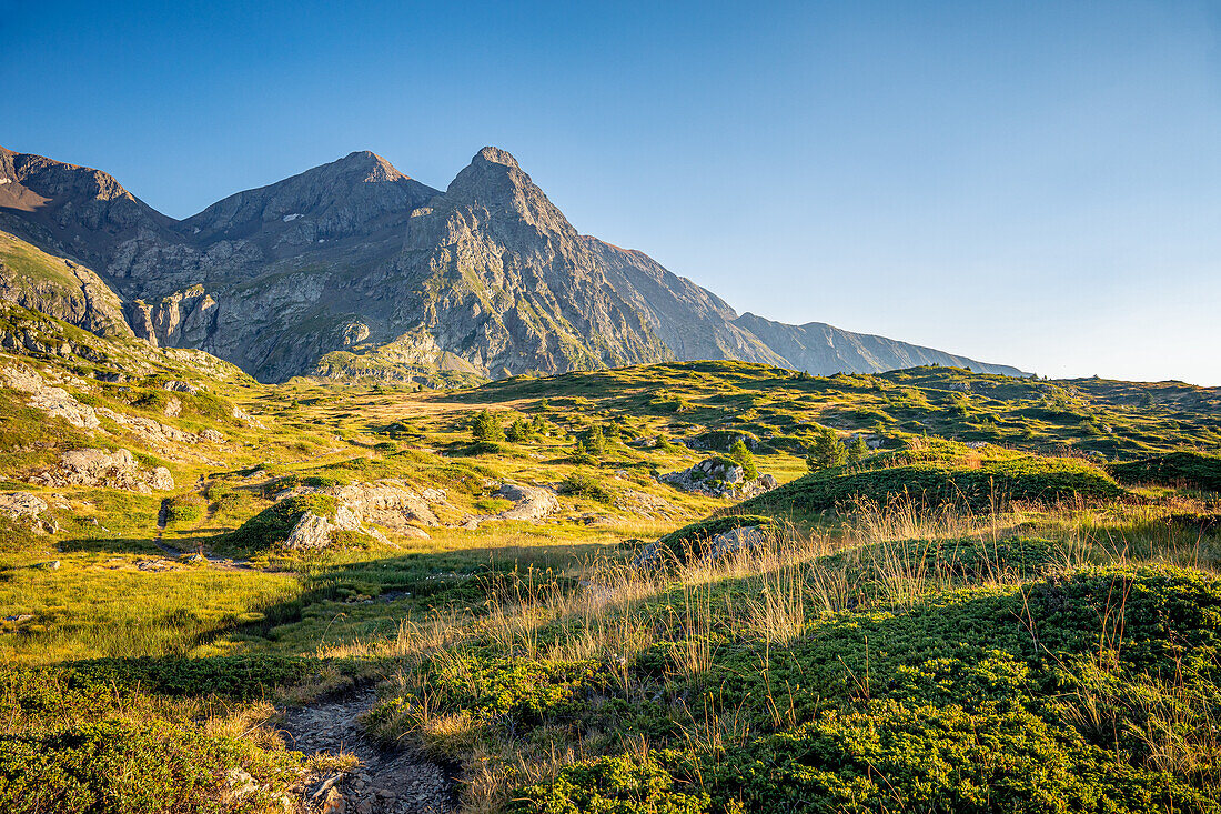 Impressions of a hike in summer between mountain lakes on the Plateau des Lacs, Isère, Rhône Alpes, France