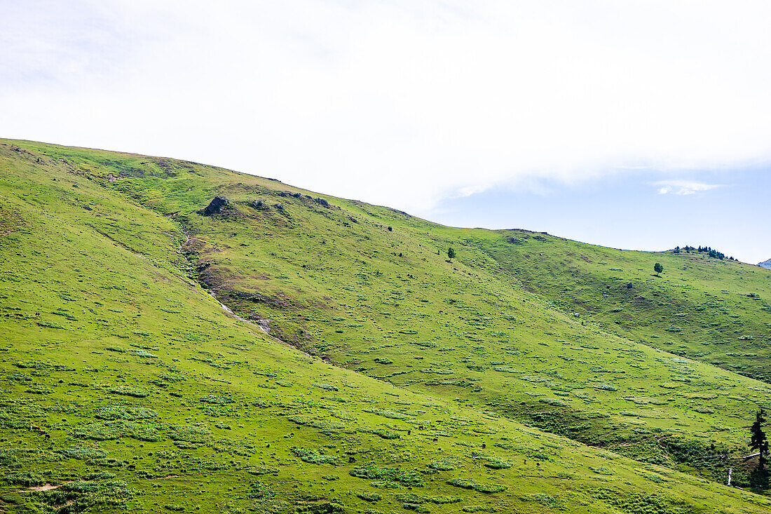 Green slope of mountain in Georgia in summertime