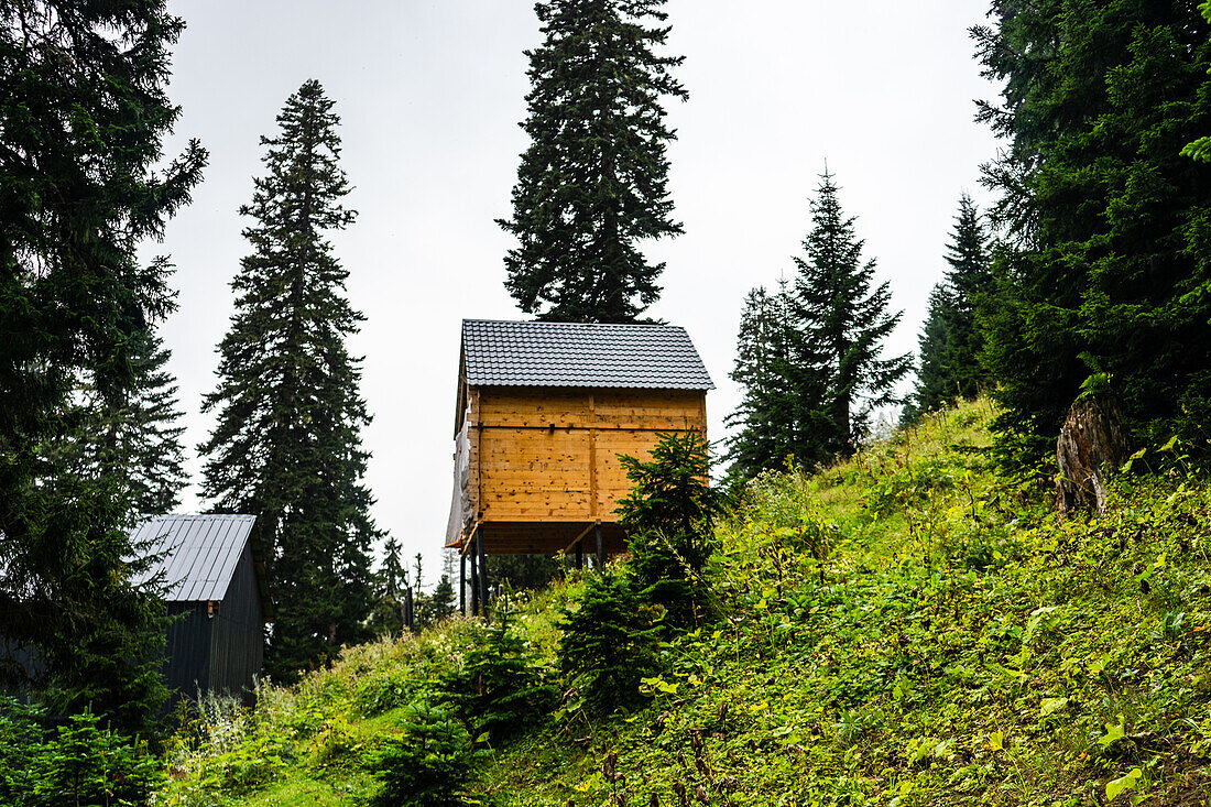 Traditional old wooden houses of Bakhmaro resort in georgian region Guria in foggy morning