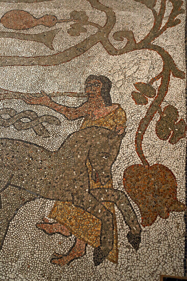 Bodenmosaiken in der Kathedrale von Otranto, Salento, Apulien, Italien