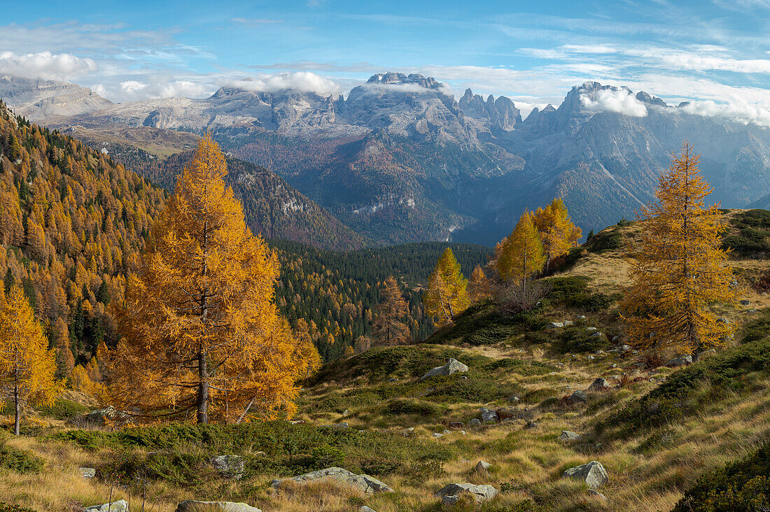 Die Gipfel des Brenta-Gebirges überragen Madonna di Campiglio. Brenta-Gruppe in den Dolomiten, Teil der UNESCO. Europa, Italien, Val Rendena