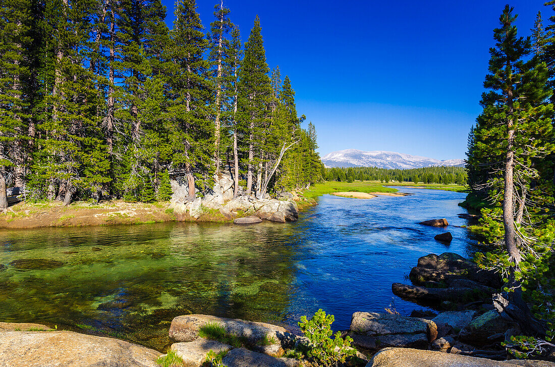 The Tuolumne River, Tuolumne Meadows, Yosemite National Park, California, USA